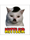 Kittler