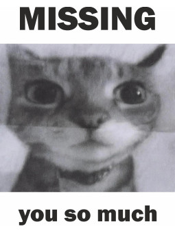 Tęsknię Za Tobą